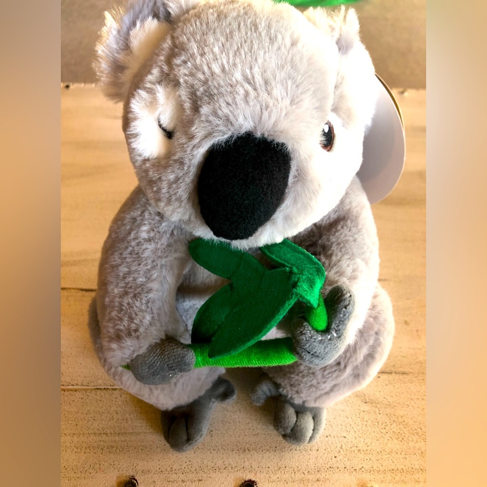 Koala 🐨 bear ❤️